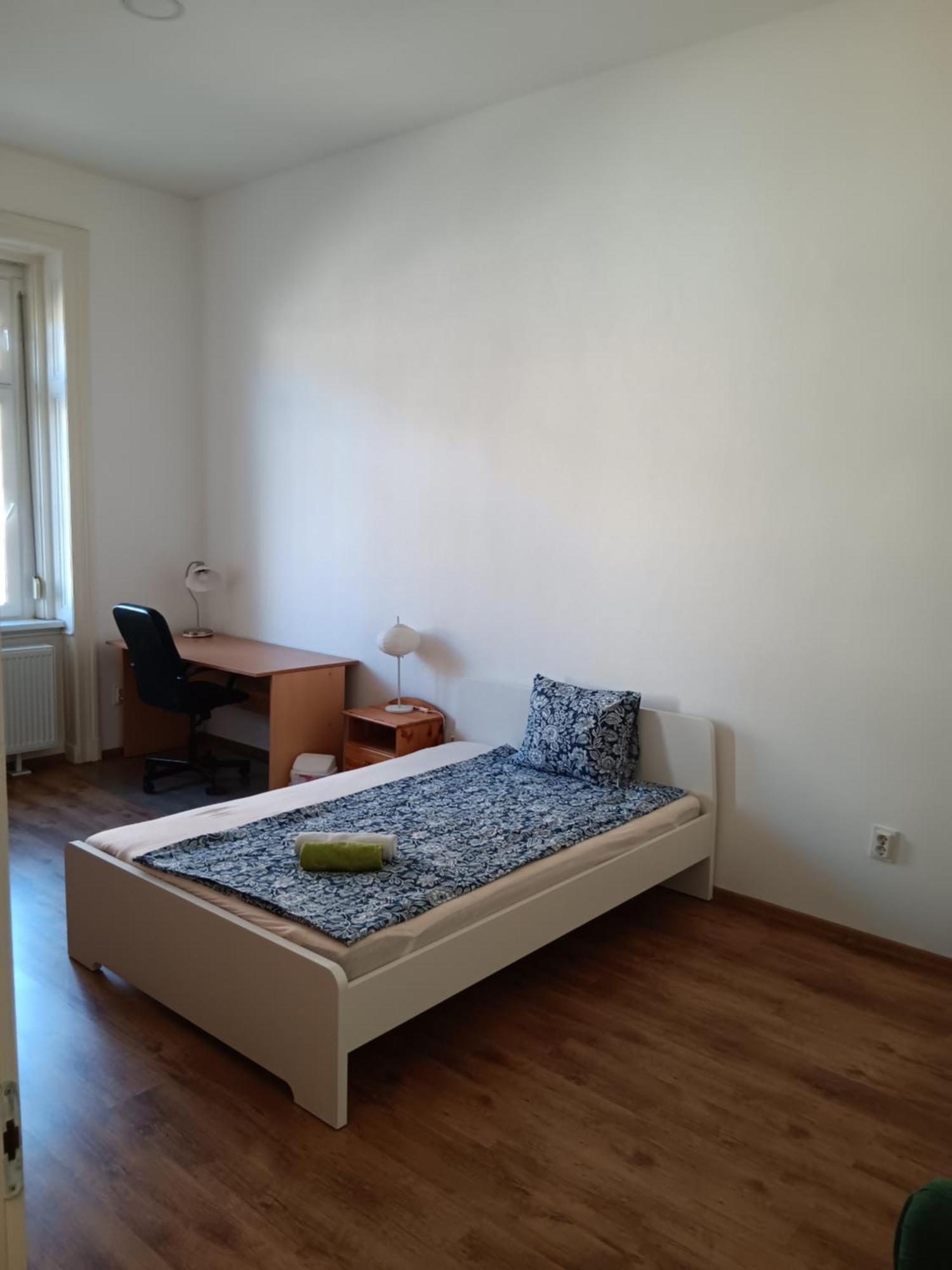 Big Cozy - Skyfall Apartment 3 Bdrm 6 Beds 1&Half Baths Budapest Eksteriør billede